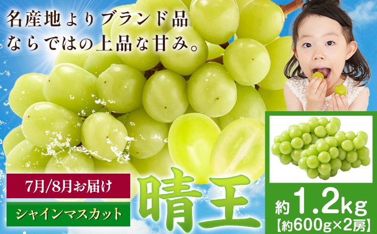 【先行予約】ぶどう シャインマスカット 晴王 1.2kg 2房 マスカット岡山《7月上旬-9月中旬頃出荷》岡山県 浅口市 送料無料 フルーツ 果物 マスカット お取り寄せフルーツ【配送不可地域あり】（北海道・沖縄・離島）---124_c1108_7j9c_24_40000_1200g---