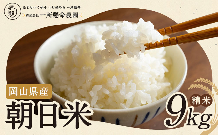令和7年産 岡山県産 朝日米 精米 9kg 株式会社 一所懸命農園 岡山県 浅口市《30日以内に出荷予定(土日祝除く)》精米 米 あさひ 白米 送料無料---124_2272_11b12m_25_26000_9kg---