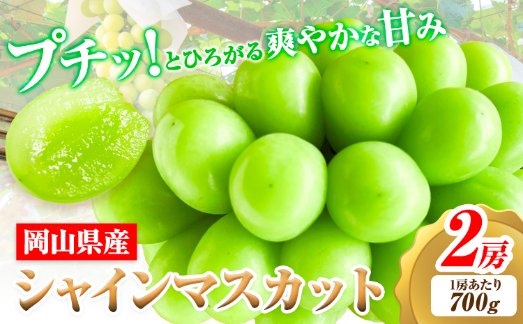 【2026年先行予約】シャインマスカット 岡山県産 2房 (1房 700g)《2026年9月上旬-9月中旬頃出荷》ひらた農園  岡山県 浅口市 ぶどう 果物 ギフト---124_2003_9a9b_25_20000_2p---st-p