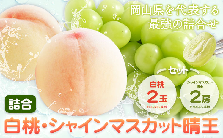 【2026年先行予約】詰合 白桃 2玉 ・ シャインマスカット晴王 2房 山博(中本青果)《2026年7月下旬-8月中旬頃出荷》 【配送不可地域あり】（北海道・沖縄・離島）---124_c1859_7c8b_25_27000_4p---