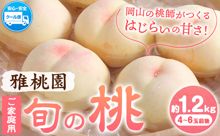 【2026年先行予約】ご家庭用 旬の桃 約1.2kg ( 4~6玉前後 ) 株式会社創・和(雅桃園) 《7月上旬-8月上旬頃出荷》岡山県 浅口市 桃 もも フルーツ 果物 青果 旬 白桃 わけあり 訳あり【配送不可地域あり】（北海道・沖縄・離島）---124_c2244_7a8a_25_12000_1200g---