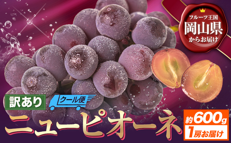 【先行予約】訳あり ニューピオーネ 約600g 1房 ブドウ 葡萄 果物 秋旬 訳あり 優品 厳選出荷 フルーツ デザート 岡山県 浅口市《8月下旬‐10月中旬頃出荷》ニューピオーネ---124_c3274_8c10b_25_8000_1p---