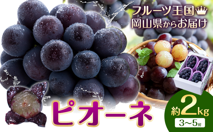 【先行予約】ぶどう ピオーネ 約2kg (3房～5房) もりおか農園《9月上旬-10月上旬頃出荷》岡山県 浅口市 送料無料 ぶどう フルーツ 果物 くだもの デザート おやつ【配送不可地域あり】---124_c2116_9a10a_25_18000_2kg---