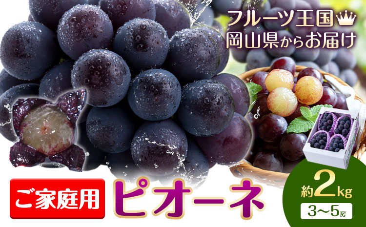 【先行予約】ぶどう ご家庭用 ピオーネ 約2kg (3房～5房) もりおか農園《9月上旬-10月上旬頃出荷》岡山県 浅口市 送料無料 ぶどう フルーツ 果物 くだもの デザート おやつ【配送不可地域あり】---124_c2117_9a10a_25_16000_2kg---