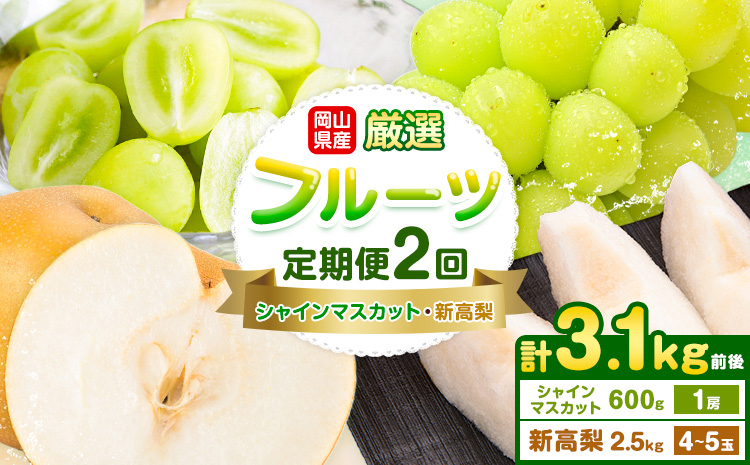 岡山県産 厳選 フルーツ 定期便 2回 シャインマスカット 新高梨 計3.1kg前後 株式会社藍《9月上旬-10月下旬頃出荷》 岡山県 浅口市 岡山県産 シャインマスカット 新高梨 梨 旬 フルーツ 果物 くだもの 送料無料 【配送不可地域あり】（北海道・沖縄・離島）---124_c3241_9a10c_25_31000_sep2---