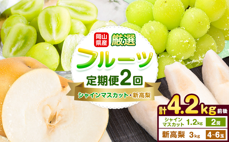 岡山県産 厳選 フルーツ 定期便 2回 シャインマスカット 新高梨 計4.2kg前後 株式会社藍《9月上旬-10月下旬頃出荷》 岡山県 浅口市 岡山県産 シャインマスカット 新高梨 梨 旬 フルーツ 果物 くだもの 送料無料 【配送不可地域あり】（北海道・沖縄・離島）---124_c3395_9a10c_25_34000_sep2---