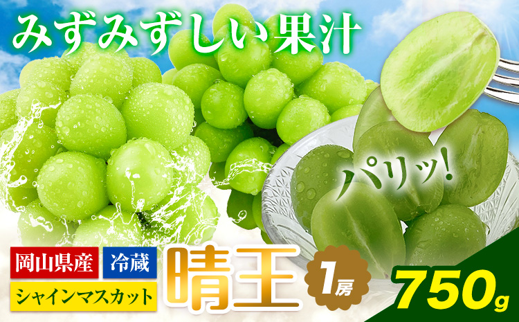 【2026年先行予約受付】シャインマスカット 岡山県産 シャインマスカット 晴王 1房 750g《2026年9月上旬-10月末頃出荷(土日祝除く)》 ハレノフルーツ マスカット 送料無料 岡山県 浅口市 フルーツ 果物 贈り物 ギフト 国産 岡山県産 くだもの 青果物【配送不可地域あり】---124_c1944_9a10m_25_21500_750g---
