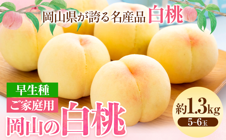 【先行予約】ご家庭用 岡山の白桃 早生種 約1.3kg 晴れの国 おかやま館(つむぐ株式会社) 《6月下旬-7月中旬頃出荷》岡山県 浅口市 白桃 桃 もも 果物 フルーツ 送料無料【配送不可地域あり】（離島）---124_2189_6c7b_25_15500_1300g---