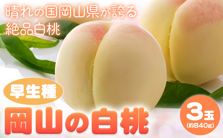 【先行予約】 岡山の白桃 早生種 3玉 約840g 晴れの国 おかやま館(つむぐ株式会社) 《6月下旬-7月中旬頃出荷》岡山県 浅口市 フルーツ モモ 果物 青果 旬【配送不可地域あり】（離島）---124_2188_6c7b_25_16000_3tama---