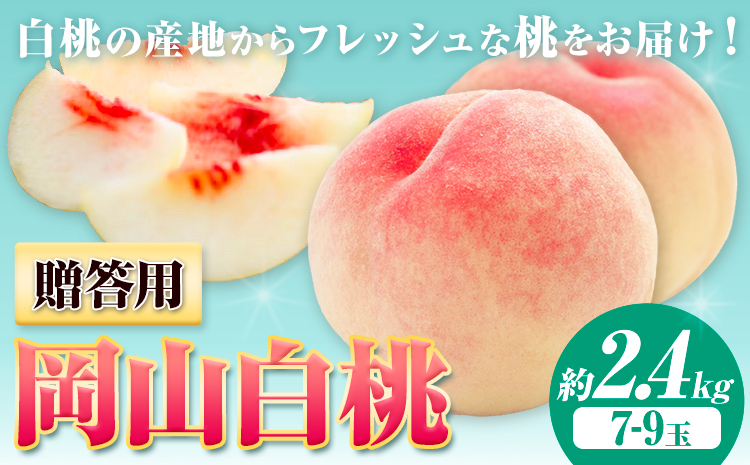 【令和8年度先行予約】贈答用 桃 内容量 2.4kg ハレノフルーツ （犬塚農園） 《2026年6月末-8月中旬頃出荷》岡山県 浅口市 フルーツ モモ 果物 青果 旬 おかやま夢白桃 白麗 白鳳 清水白桃 なつごころ 加納岩白桃【配送不可地域あり】（北海道・沖縄・離島）---124_c1796_6m8b_26_39000_2400g---