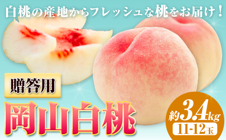 【令和8年度先行予約】贈答用 桃 内容量 3.4kg ハレノフルーツ （犬塚農園） 《2026年6月末-8月中旬頃出荷》岡山県 浅口市 フルーツ モモ 果物 青果 旬 おかやま夢白桃 白麗 白鳳 清水白桃 なつごころ 加納岩白桃【配送不可地域あり】（北海道・沖縄・離島）---124_c1797_6m8b_26_47000_3400g---