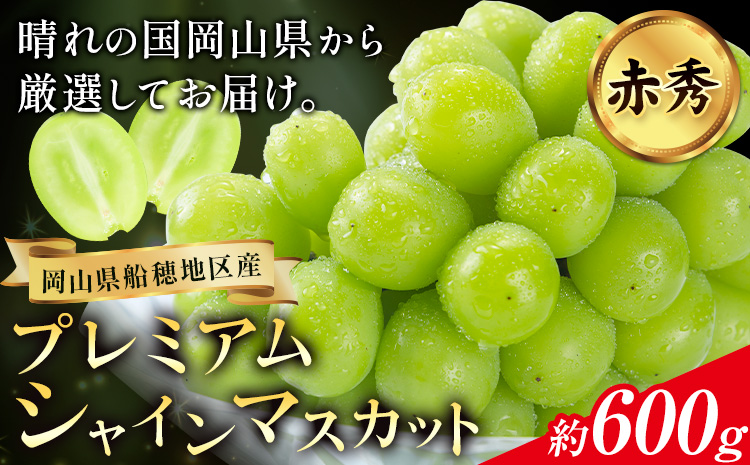 【2026年先行予約】ぶどう プレミアム シャインマスカット 船穂 赤秀品 晴王 約600g《2026年9月中旬-10月中旬頃出荷》晴レ乃青果　(岡山中央卸売市場店(富士紙工 有限会社)) マスカット 送料無料 岡山県 浅口市 フルーツ 果物 贈り物 ギフト 国産 【配送不可地域あり】（北海道・沖縄・離島）---124_c2208_9b10b_25_24500_600---