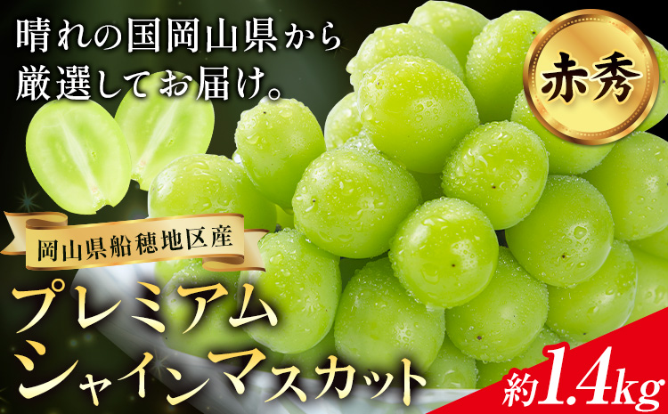 【2026年先行予約】ぶどう プレミアム シャインマスカット 船穂 赤秀品 晴王 約1.4kg《2026年9月中旬-10月中旬頃出荷》晴レ乃青果　(岡山中央卸売市場店(富士紙工 有限会社)) マスカット 送料無料 岡山県 浅口市 フルーツ 果物 贈り物 ギフト 国産 【配送不可地域あり】（北海道・沖縄・離島）---124_c2214_9b10b_25_51000_1400---