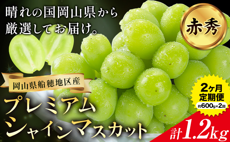 【2026年先行予約】ぶどう プレミアム シャインマスカット定期便 9月 10月発送 船穂 赤秀品 晴王 計1.2kg(約600g×2回お届け)《2026年9月中旬-10月中旬頃出荷(土日祝除く)》晴レ乃青果　(岡山中央卸売市場店(富士紙工 有限会社)) マスカット 岡山県 浅口市 フルーツ 果物 【配送不可地域あり】（北海道・沖縄・離島）---124_c2215_9b10b_47000_sep2_tei---st-p