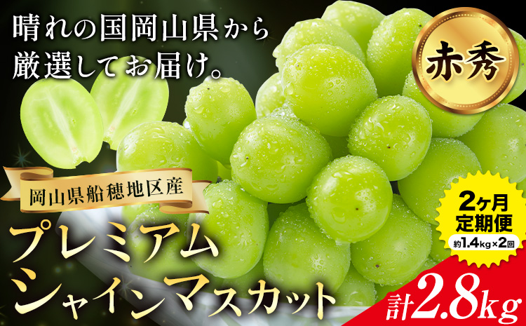 【2026年先行予約】ぶどう プレミアム シャインマスカット定期便 9月 10月発送 船穂 赤秀品 晴王 計2.8kg(約1.4kg×2回お届け)《2026年9月中旬-10月中旬頃出荷(土日祝除く)》晴レ乃青果　(岡山中央卸売市場店(富士紙工 有限会社)) マスカット 岡山県 浅口市 フルーツ 果物 【配送不可地域あり】（北海道・沖縄・離島）---124_c2218_9b10b_96000_sep2_tei---st-p