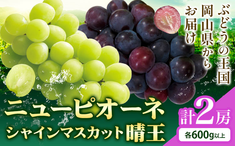 【2026年先行予約】シャインマスカット【晴王】 & ニューピオーネ 600g以上(各1房)  株式会社Myself《2026年9月上旬-10月下旬頃出荷》マスカット 送料無料 岡山県 浅口市 ぶどう フルーツ 果物 贈り物 ギフト---124_c2435_9a10c_14500_1p---