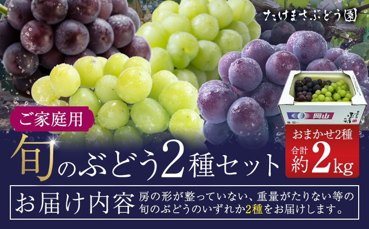【先行予約】ぶどう ご家庭用 旬 の ぶどう 2種セット おまかせ2種 合計約2kg たけまさぶどう園 《8月中旬-10月中旬頃出荷》岡山県 浅口市 フルーツ デザート おやつ マスカット ぶどう 果物 国産 【配送不可地域あり】（離島）---124_c2013_8b10b_25_27000_2---