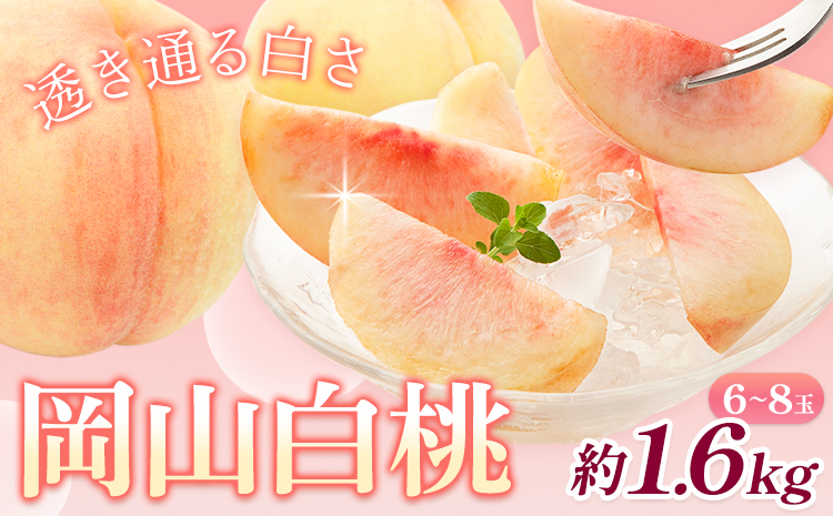 【先行予約】桃 岡山白桃 1.6kg 株式会社藍《2026年7月中旬-7月末頃出荷》 岡山県 浅口市 岡山県産 もも フルーツ 果物 くだもの 白桃 送料無料---124_c1986_7b7m_25_19000_1600g---