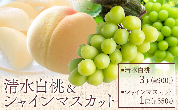 【先行予約】清水 白桃 3玉 計約900g（1玉約300g）シャインマスカット 晴王 1房 550g以上 もも 葡萄 詰合せ 岡山 国産 フルーツ 果物 ギフト 桃茂實苑《7月中旬-8月上旬頃出荷》岡山県 浅口市 フルーツ ぶどう 桃 果物 青果【配送不可地域あり】---124_c2137_7b8a_25_49000_900g---