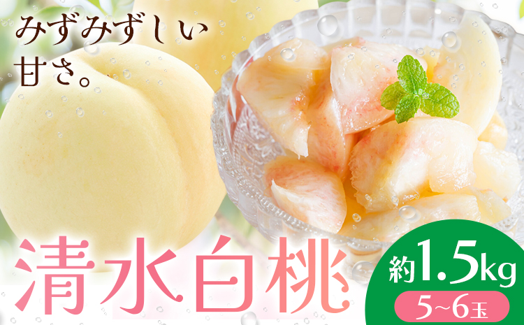 【先行予約】清水白桃 約1.5kg もも モモ 岡山 国産 フルーツ 果物 桃茂實苑《7月中旬-8月上旬頃出荷》岡山県 浅口市 フルーツ モモ 果物 青果 旬 白桃 国産 岡山県産【配送不可地域あり】---124_c2135_7b8a_25_44000_1500g---