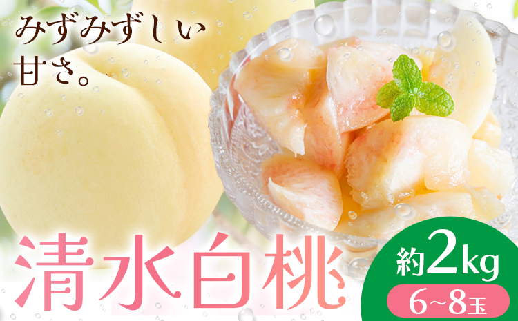 【先行予約】清水白桃 約2kg もも モモ 岡山 国産 フルーツ 果物 桃茂實苑《7月中旬-8月上旬頃出荷》岡山県 浅口市 フルーツ モモ 果物 青果 旬 白桃 国産 岡山県産【配送不可地域あり】---124_c2136_7b8a_25_54000_2kg---