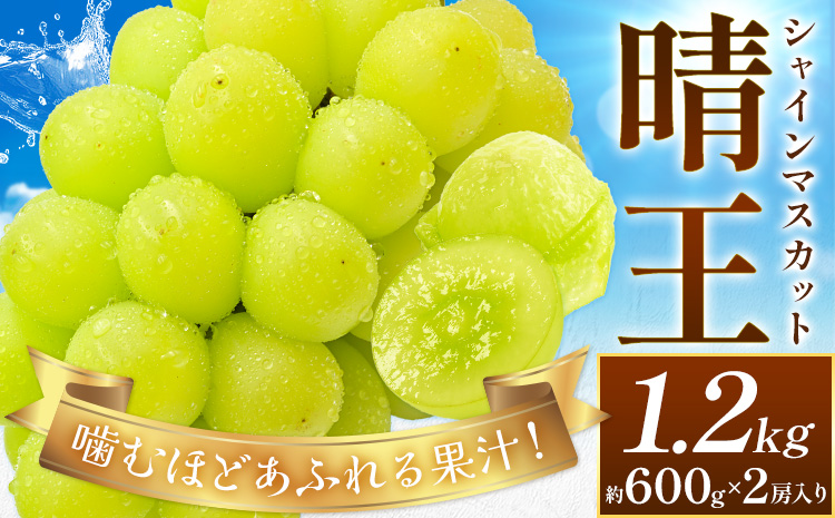 【2026年先行予約】ぶどう シャインマスカット 晴王 約1.2kg (約600g×2房入り) 満天フルーツ《2026年9月上旬-10月末頃出荷》岡山県 浅口市 送料無料 マスカット フルーツ 果物 お取り寄せフルーツ 贈り物 ギフト 国産 岡山県産【配送不可地域あり】---124_c1977_9a10m_25_29500_1200g---