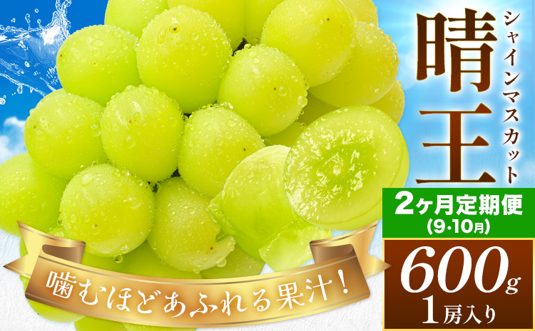 【2026年発送先行予約】【2ヶ月定期便】ぶどう シャインマスカット 晴王 約600g(1房入り)×2ヶ月定期便 満天フルーツ《2026年9月上旬-10月末頃出荷》岡山県 浅口市 マスカット フルーツ 果物 お取り寄せフルーツ 贈り物 ギフト 岡山県産【配送不可地域あり】---124_c1979_25_32000_600g_tei---