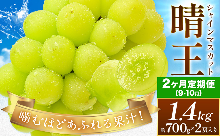 【2026年発送先行予約】【2ヶ月定期便】ぶどう シャインマスカット 晴王 約1.4kg(約700g×2房入り)×2ヶ月定期便 満天フルーツ《2026年9月上旬-10月末頃出荷》岡山県 浅口市 マスカット フルーツ 果物 お取り寄せフルーツ 贈り物 ギフト 岡山県産【配送不可地域あり】---124_c1982_25_60000_1400g_tei---