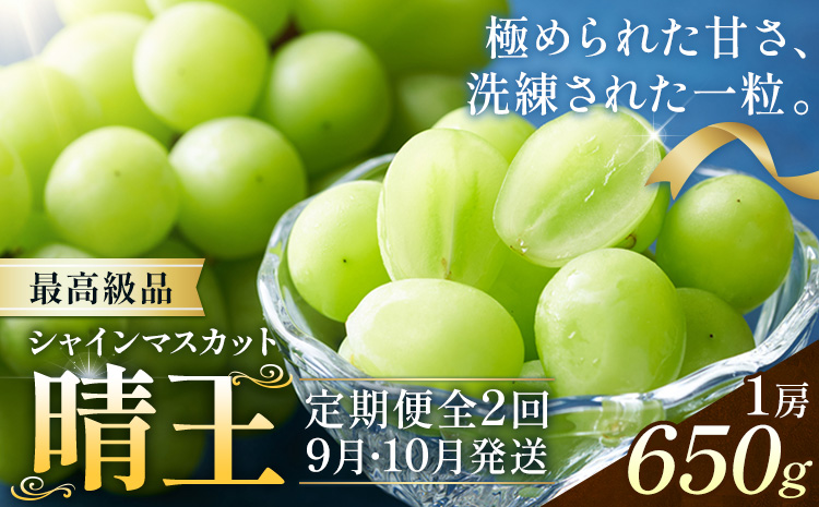 【2026年発送先行予約】シャインマスカット 晴王 2ヶ月 定期便 650g(1房)×2回お届け 最高級品 シャイン マスカット《2026年9月中旬-10月中旬頃出荷予定》 晴レ乃青果(岡山中央卸売市場店(富士紙工有限会社)) 送料無料 岡山県 果物 【配送不可地域あり】---124_c2242_9b10b_48000_sep2_tei---