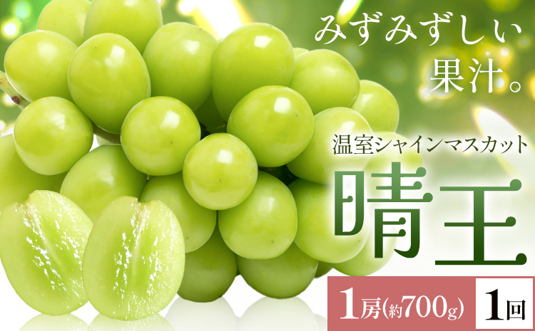 【2026年発送先行予約】シャインマスカット 温室 晴王 1房(約700g) 1回お届け シャイン マスカット《2026年7月中旬-8月中旬頃出荷》晴レ乃青果　(岡山中央卸売市場店(富士紙工 有限会社)) 送料無料 岡山県 浅口市 フルーツ 果物 岡山県産【配送不可地域あり】---124_c2220_7b8b_28000_700---