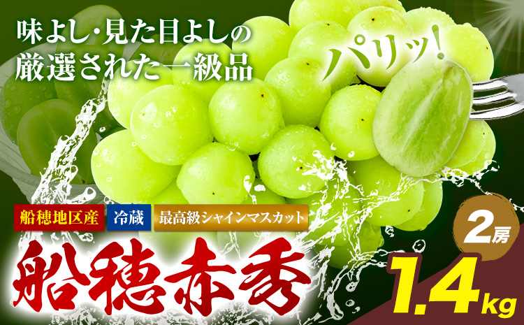 【2026年先行予約受付】最高級 シャインマスカット ぶどう 船穂赤秀 2房 1.4kg 《2026年9月上旬-10月末頃出荷(土日祝除く)》ハレノフルーツ マスカット 送料無料 岡山県 浅口市 フルーツ 果物 贈り物 ギフト 国産 岡山県産【配送不可地域あり】（北海道・沖縄・離島）---124_c1968_9a10m_25_45000_1400g---