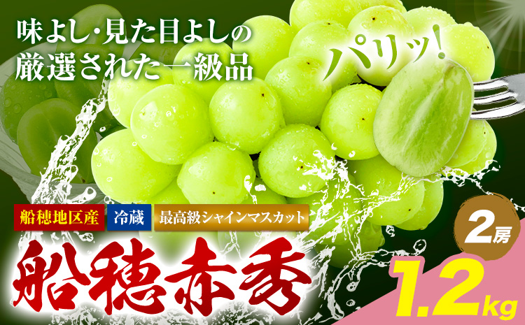 【2026年先行予約受付】最高級 シャインマスカット ぶどう 船穂赤秀 2房 1.2kg《2026年9月上旬-10月末頃出荷(土日祝除く)》ハレノフルーツ マスカット 送料無料 岡山県 浅口市 フルーツ 果物 贈り物 ギフト 国産 岡山県産【配送不可地域あり】（北海道・沖縄・離島）---124_c1966_9a10m_25_38500_1200g---