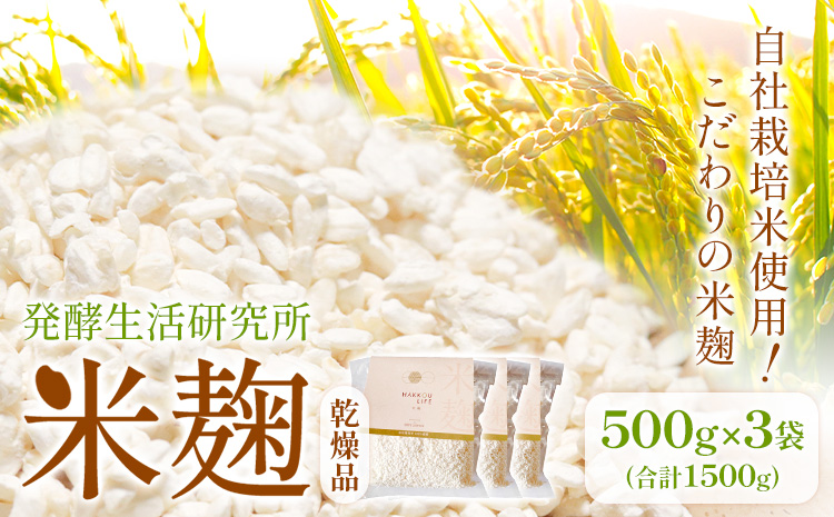 発酵生活研究所 米麹(乾燥品) 500g×3袋 丸本酒造株式会社《30日以内に出荷予定(土日祝除く)》岡山県 浅口市 米麹 麹 こうじ 乾燥 発酵食品 甘酒 塩麹 味噌 送料無料---124_c3260_30d_25_22000_3p_ko---