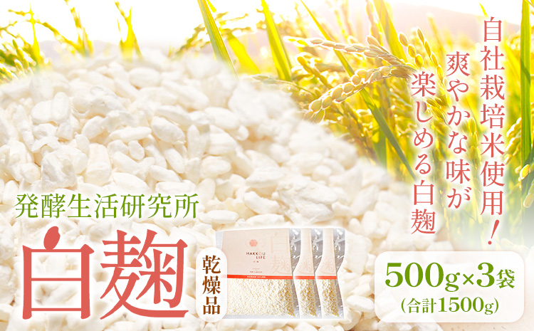 発酵生活研究所 白麹(乾燥品) 500g×3袋 丸本酒造株式会社《30日以内に出荷予定(土日祝除く)》岡山県 浅口市 白麹 麹 こうじ 乾燥 発酵食品 甘酒 送料無料---124_c3261_30d_25_22000_3p_sh---
