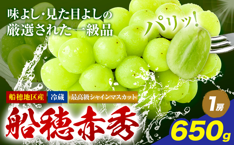 【2026年先行予約受付】最高級 シャインマスカット ぶどう 船穂赤秀 1房 650g 《2026年9月上旬-10月末頃出荷(土日祝除く)》ハレノフルーツ マスカット 送料無料 岡山県 浅口市 フルーツ 果物 贈り物 ギフト 国産 岡山県産【配送不可地域あり】（北海道・沖縄・離島）---124_c1963_9a10m_25_23500_650g---
