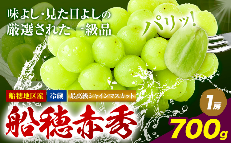 【2026年先行予約受付】最高級 シャインマスカット ぶどう 船穂赤秀 1房 700g《2026年9月上旬-10月末頃出荷(土日祝除く)》ハレノフルーツ マスカット 送料無料 岡山県 浅口市 フルーツ 果物 贈り物 ギフト 国産 岡山県産【配送不可地域あり】（北海道・沖縄・離島）---124_c1964_9a10m_25_25500_700g---