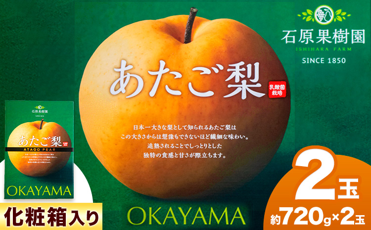 【先行予約】あたご 梨 約720g×2玉 化粧箱 石原果樹園 《11月中旬-12月下旬頃より発送予定》---124_3167_11b12c_25_13000_720g---