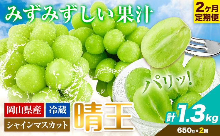 【2026年先行予約】2ヶ月 定期便 シャインマスカット 晴王 約650g 《9月上旬-10月末頃出荷(土日祝除く)》【配送不可地域あり】（北海道・沖縄・離島）---124_c1953_25_32500_sep2_tei---