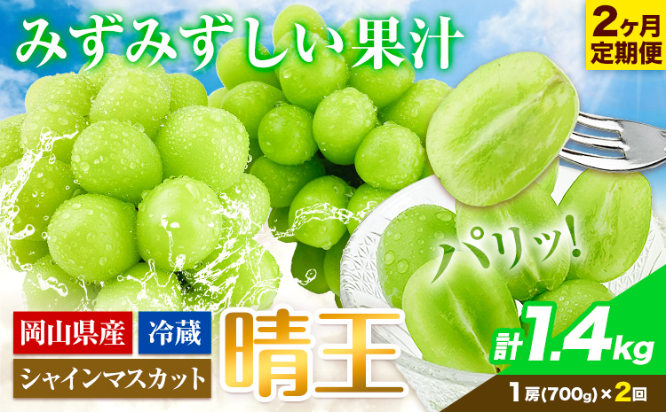 2ヶ月 定期便 シャインマスカット 晴王 約700g 《9月上旬-10月末頃出荷(土日祝除く)》【配送不可地域あり】（北海道・沖縄・離島）---124_c1954_25_35000_sep2_tei---