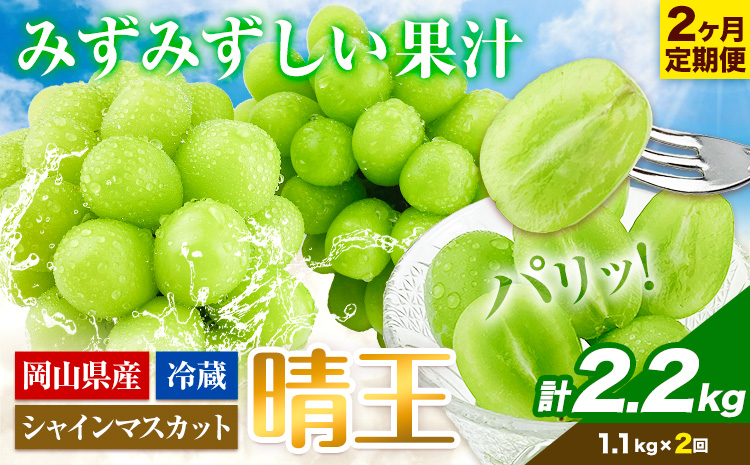 【2026年先行予約】2ヶ月 定期便 シャインマスカット 晴王 約1.1kg 《9月上旬-10月末頃出荷(土日祝除く)》【配送不可地域あり】（北海道・沖縄・離島）---124_c1957_25_53500_sep2_tei---