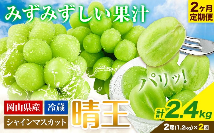 【2026年先行予約】2ヶ月 定期便 シャインマスカット 晴王 約1.2kg《9月上旬-10月末頃出荷(土日祝除く)》【配送不可地域あり】（北海道・沖縄・離島）---124_c1958_25_57000_sep2_tei---