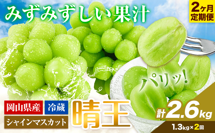 【2026年先行予約】2ヶ月 定期便 シャインマスカット 晴王 約1.3kg 《9月上旬-10月末頃出荷(土日祝除く)》【配送不可地域あり】（北海道・沖縄・離島）---124_c1959_25_58500_sep2_tei---