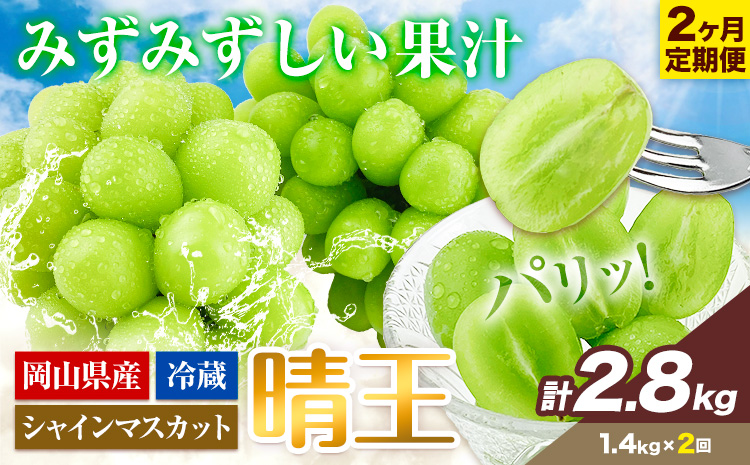 【2026年先行予約】2ヶ月 定期便 シャインマスカット 晴王 約1.4kg 《9月上旬-10月末頃出荷(土日祝除く)》 【配送不可地域あり】（北海道・沖縄・離島）---124_c1960_25_60000_sep2_tei---