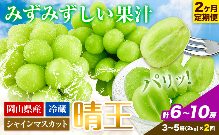 【2026年先行予約】2ヶ月 定期便 シャインマスカット 晴王 約2kg 《9月上旬-10月末頃出荷(土日祝除く)》【配送不可地域あり】（北海道・沖縄・離島）---124_c1961_25_110000_sep2_tei---