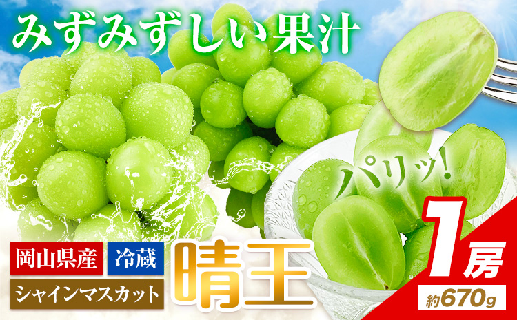 ぶどう 【2026年先行予約受付】 シャインマスカット 晴王 1房 約670g《2026年9月上旬-10月末頃出荷(土日祝除く)》 【配送不可地域あり】（北海道・沖縄・離島）---124_c1949_9a10m_25_19500_670g---|晴王晴王晴王晴王晴王晴王晴王晴王