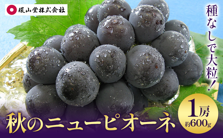 【2026年先行予約】秋の ニューピオーネ 1房 約600g 環山堂株式会社《2026年8月下旬-9月下旬頃出荷》ぶどう  ピオーネ フルーツ 果物 ---124_c2267_8c9c_25_12000_30---