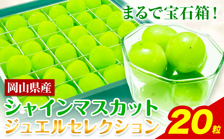 【2026年先行予約受付】シャインマスカット ジュエルセレクション 20粒 ぶどう《2026年9月上旬-10月末頃出荷(土日祝除く)》【配送不可地域あり】（北海道・沖縄・離島）---124_c1939_9a10m_25_18000_20i---マスカットマスカットマスカットマスカットマスカット