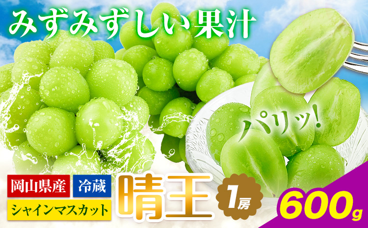 【2026年先行予約受付】シャインマスカット 晴王 1房 600g 岡山県産《2026年9月上旬-10月末頃出荷(土日祝除く)》【配送不可地域あり】（北海道・沖縄・離島）---124_c1941_9a10m_25_18000_600g---|シャインマスカットシャインマスカットシャインマスカット