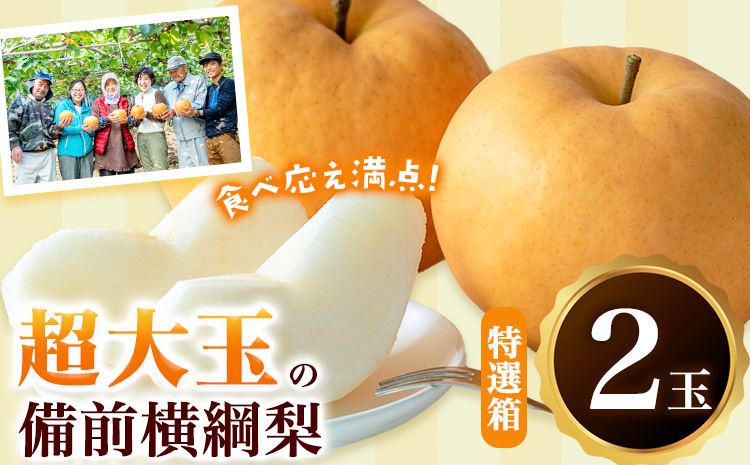 【2026年先行予約】梨 横綱梨 2玉(1～1.4㎏玉） 特選箱 石原果樹園 《2026年11月中旬-12月下旬頃より発送予定》 フルーツ ---124_3187_11b12c_25_28500_2tm---