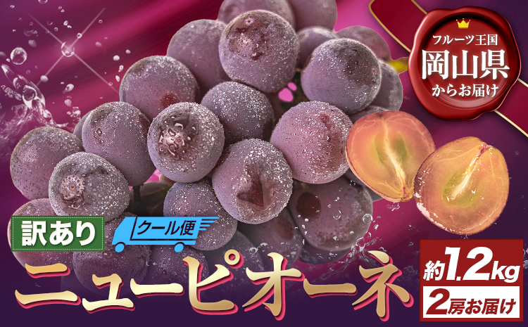 【先行予約】訳あり ニューピオーネ 約1.2kg 2房 葡萄 果物 秋旬 訳あり 優品 厳選出荷 スイーツ フルーツ デザート 岡山県 浅口市《8月下旬から10月中旬に発送予定(土日祝除く)》ブドウ ぶどう ご家庭用---124_c3275_8c10b_25_13500_2p---